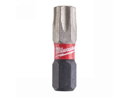 MILWAUKEE Bithegy T40 x 25 mm (2 db)