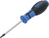 BGS Csavarhúzó | T-profil (Torx) T15 furattal | Pengehossz 80 mm