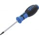 BGS Csavarhúzó | T-profil (Torx) T15 furattal | Pengehossz 80 mm